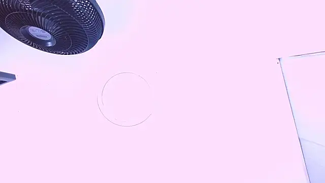 Dannesh_ webcam