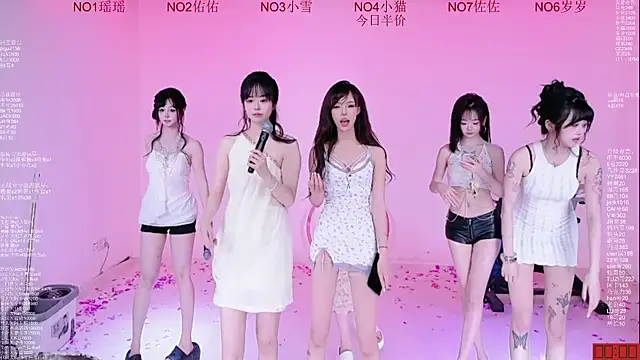 Yes-OK-1314 webcam