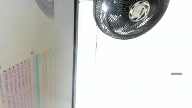 Bella_adamss_ webcam