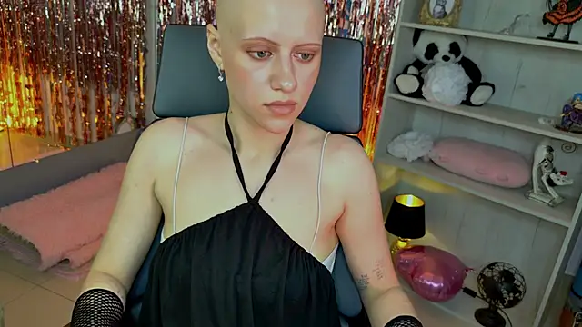 LidaDarknet webcam