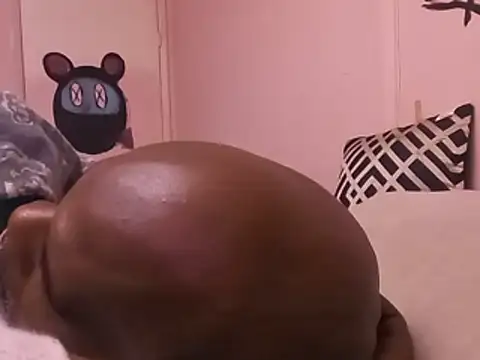 Blkstylion webcam