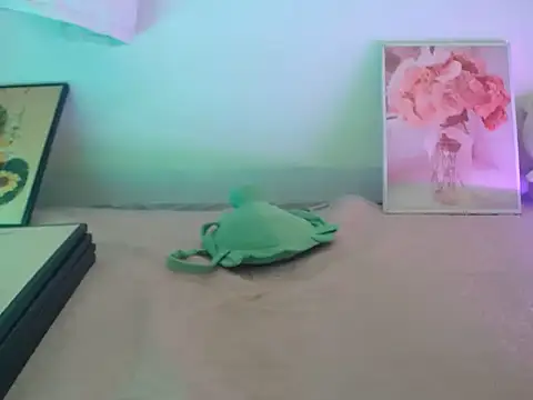Kaya-Linkk webcam