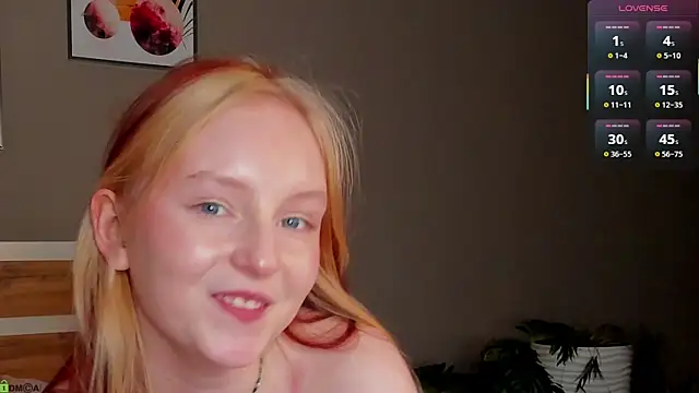 AngelWisee webcam