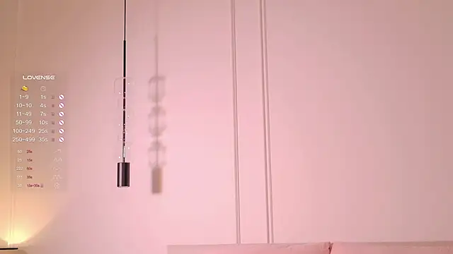 Rinas_secret webcam