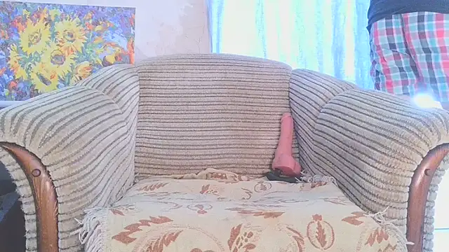 SHARP299 webcam