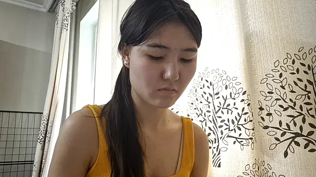 LimpedFlyby webcam