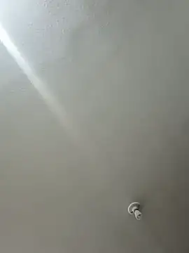 Caligula87 webcam