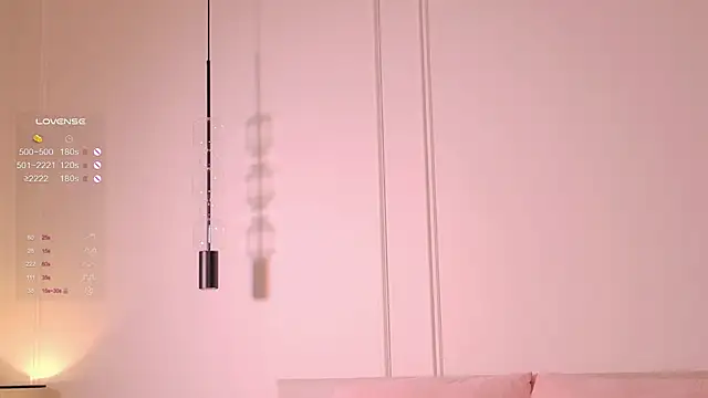 Rinas_secret webcam