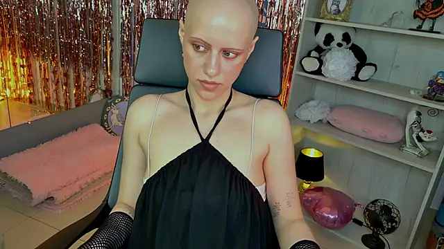 LidaDarknet webcam