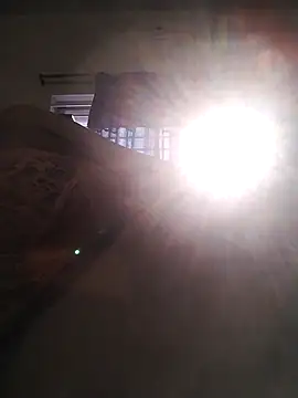 Mini_ara webcam