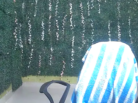 shallykaur webcam