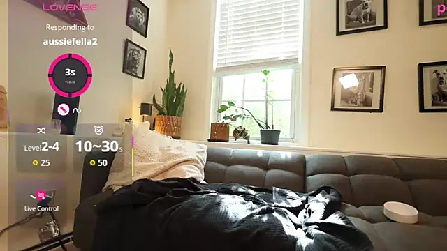 BradBronton webcam