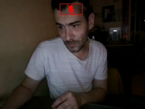 Hgay6935 webcam