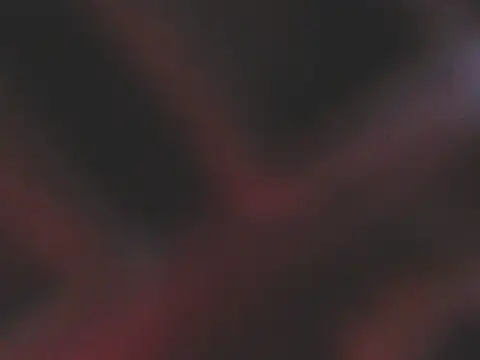 zoetits webcam