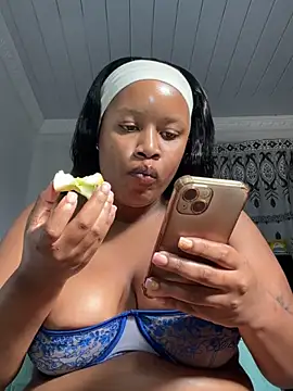 MimiCurves webcam