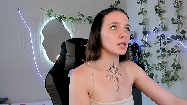 Elastikisss webcam
