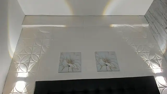 enzzox webcam
