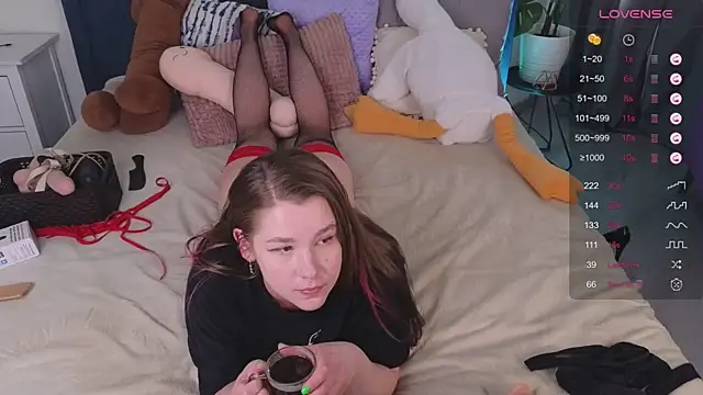Mira_Falls webcam