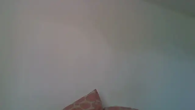 Kaappi1967 webcam