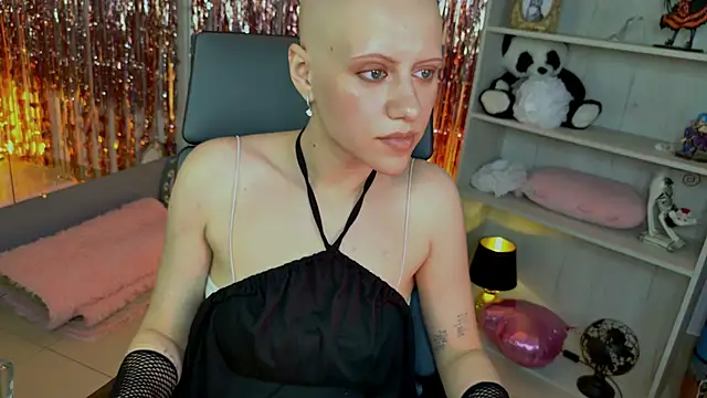 LidaDarknet webcam