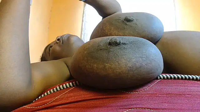 titi_fiesta webcam
