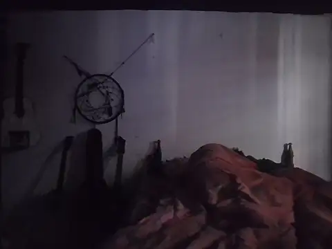 lmlfff webcam