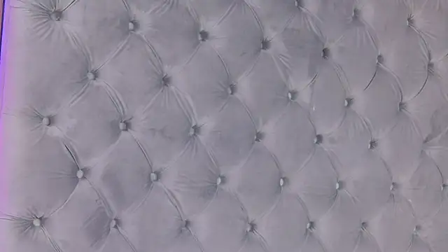 LunaHart webcam