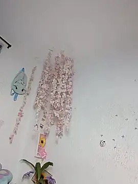 Kuutar webcam