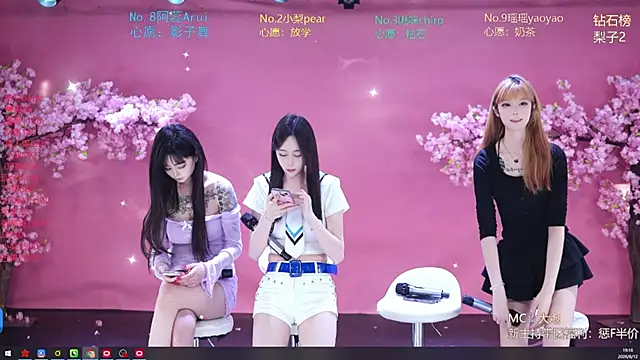 SG-0310 webcam