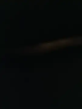 Jan_981 webcam