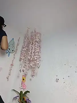 Kuutar webcam