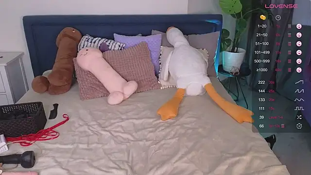 Mira_Falls webcam