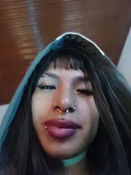 MeelFox webcam