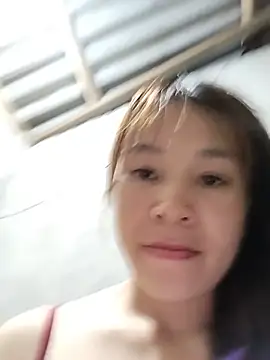 Biva11 webcam