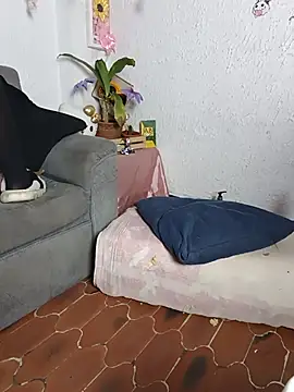 Kuutar webcam