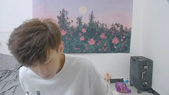 paofu-001 webcam