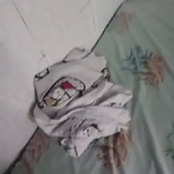 sarif-2 webcam
