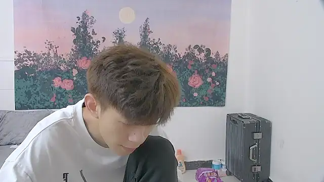 paofu-001 webcam
