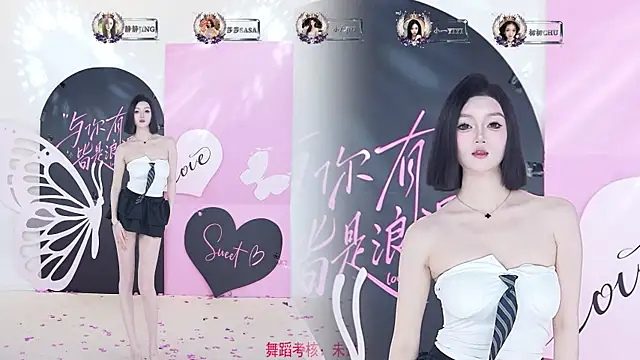 TY-002 webcam
