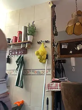 camelia3 webcam