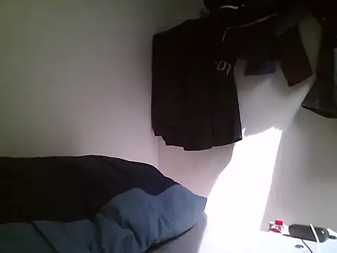 948197 webcam