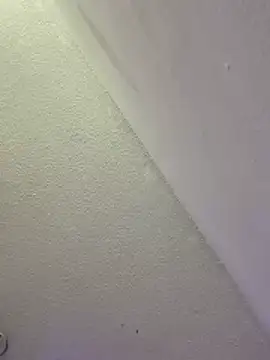 scarlett_ink_'s live room