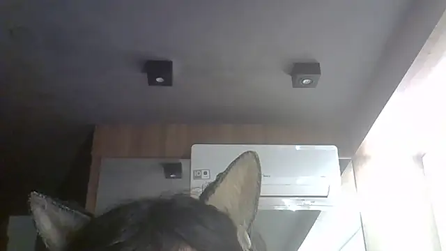 SkinnyKitten webcam