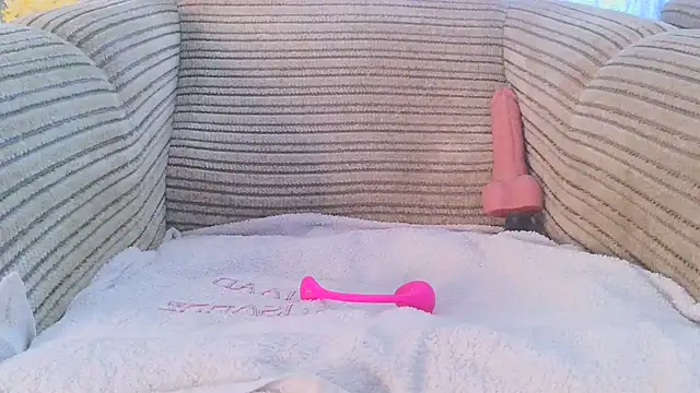 SHARP299 webcam