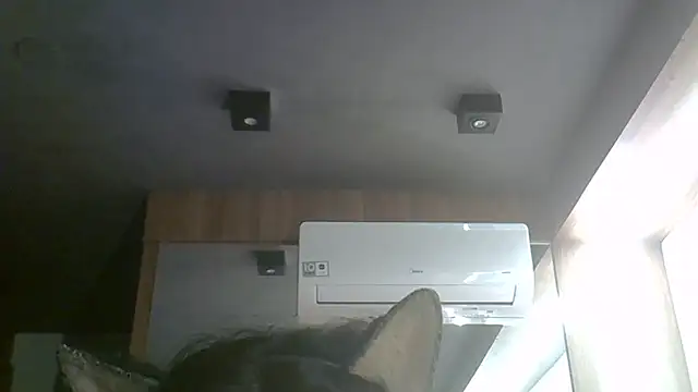 SkinnyKitten webcam