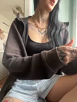 BlueVelvetBat webcam