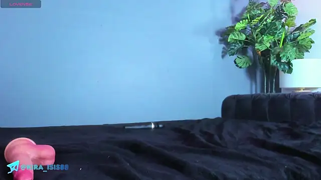 Kira_Exe_ webcam