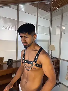 Teaserhoussejj_ webcam