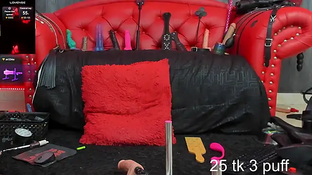 Liittledolly webcam