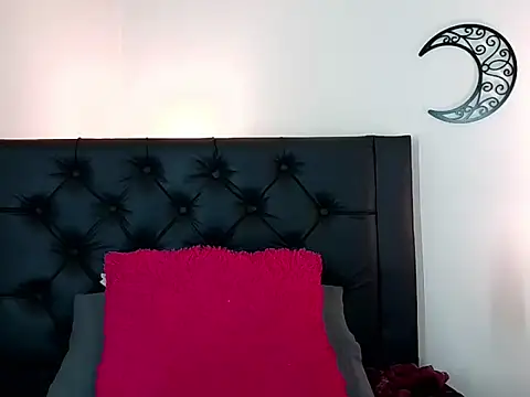 EvoletFMK webcam